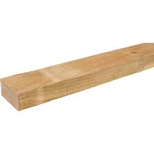 Treated pine 100x50